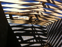 darrens-iphone-pictures-323